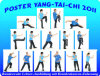 Yang-Chengfu-Taiji-Form mit 37 Stellungen: Lehrposter mit Langhoff und Plarre